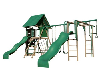 Lifetime Heavy Duty Double Slide Metal Swing Set